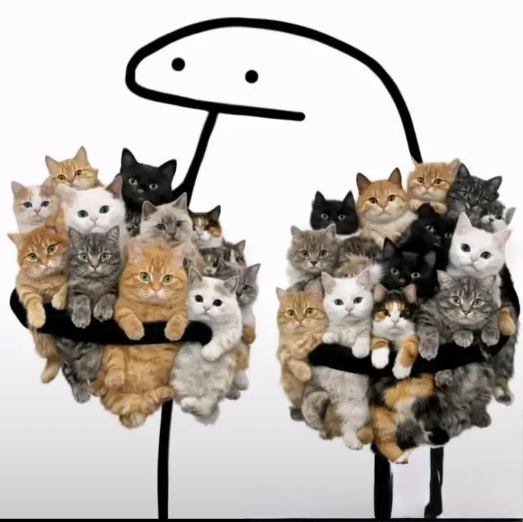 florkwifcat