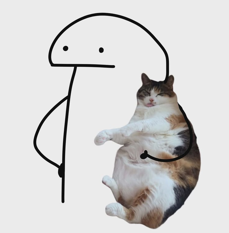 florkwifcat