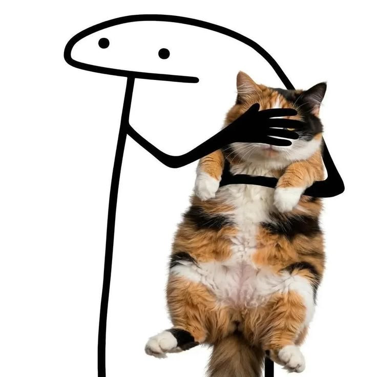 florkwifcat
