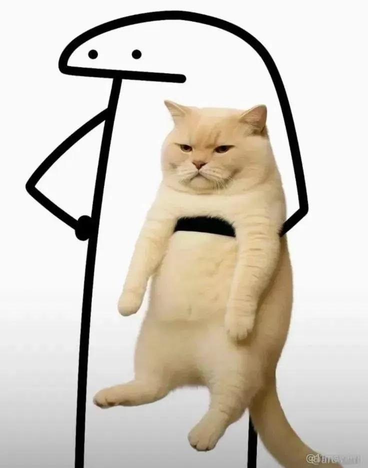 florkwifcat